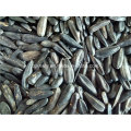 Black Sunflower Seed 2015crop 330-340pieces/50g